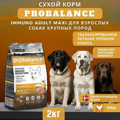 Сухой корм ProBalance Immuno Adult Maxi для взрослых собак крупных пород, 2 кг фото, описание