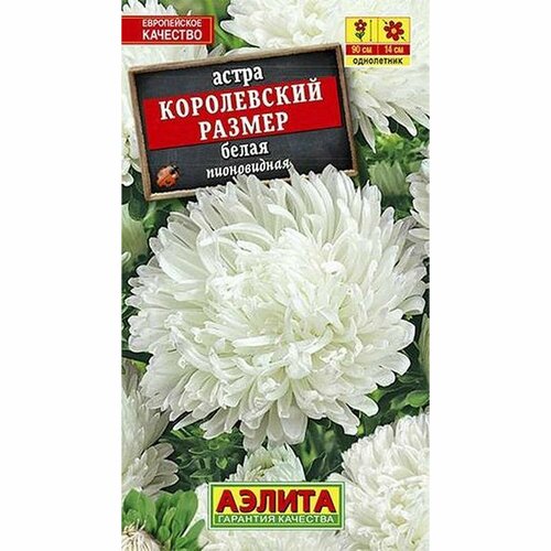 фото Семена Астра Королевский размер, белая, пионовидное, однолетник, (Аэлита) 0,1г, купить онлайн за 50 рубл.