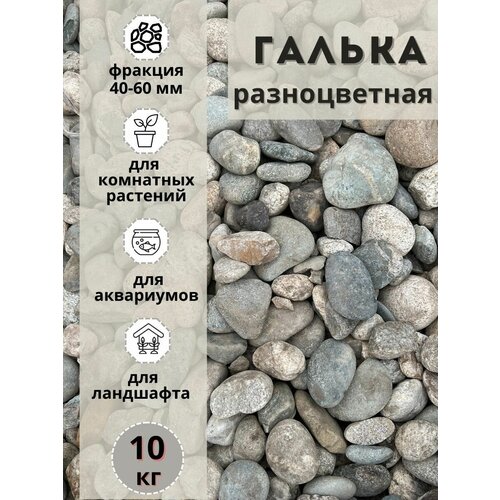 Галька разноцветная(пестрая) 40-60мм (10кг) Грунт для аквариума/террариума фото, описание