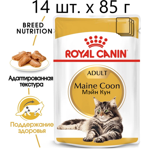 Влажный корм для кошек Royal Canin Maine Coon Adult, для взрослых кошек породы мейн-кун, 14 шт. х 85 г (кусочки в соусе) фото, описание