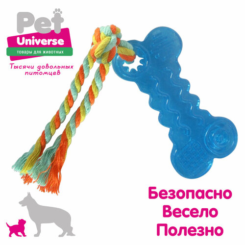 Мини косточка с канатиком Pet Universe. Для щенков и мелких пород 18*4.3 см /PU3006BE фото, описание