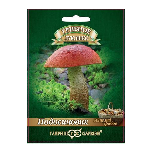 Мицелий грибов Гавриш Грибное лукошко Подосиновик на зерновом субстрате 15 мл фото, описание