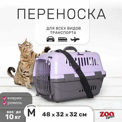 Переноска для животных Zooexpress Турне M с пластиковой дверцей (коврик + ремень) 48*32*32 см фиолетовая фото, описание