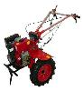 walk-hjulet traktor AgroMotor AS1100BE foto