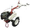 walk-hjulet traktor ЗиД Фаворит МБ-1 foto