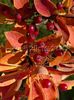помаранчевий Квітка Фотинія фото