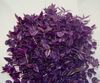 purple Tradescantia, 