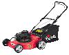self-propelled lawn mower Grizzly BRM 4630 BSA photo
