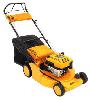 self-propelled lawn mower McCULLOCH M 6553 D photo