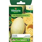 foto: acquista Vilmorin - Bustina semi Zucca Spaghetti on-line, miglior prezzo EUR 3,95 nuovo 2025-2024 bestseller, recensione