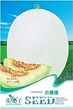 foto: acquista Portal Cool 1 confezione Semi di melone bianco zucchero semi zucchero miele melone whitebark melone dolce pianta on-line, miglior prezzo EUR 9,99 nuovo 2024-2023 bestseller, recensione