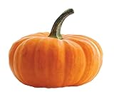 foto: acquista Semi di zucca giganti - Cucurbita maxima on-line, miglior prezzo EUR 4,16 nuovo 2025-2024 bestseller, recensione