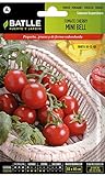 foto: acquista Semillas Batlle – Semi di Pomodoro, linea speciale on-line, miglior prezzo EUR 5,13 nuovo 2024-2023 bestseller, recensione