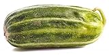 foto: acquista Mini Cetriolo melone 'Carosello Scopatizzo Barese' - 10 Semi on-line, miglior prezzo EUR 4,50 nuovo 2024-2023 bestseller, recensione