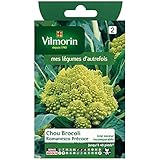 foto: acquista Vilmorin - Cavolo Broccolo Romanesco precoce on-line, miglior prezzo  nuovo 2025-2024 bestseller, recensione