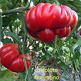 foto: acquista SEMI POMODORO COSTOLUTO FIORENTINO on-line, miglior prezzo EUR 5,00 nuovo 2025-2024 bestseller, recensione