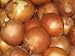 photo Onion Seeds- Sweet Yellow Spanish Heirloom- 250+ Seeds 2024-2023