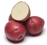 photo: You can buy 5lb Pack of Seed Potatoes - Variety 