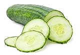 photo: You can buy Cucumber Seeds for Planting Outdoors, 210 Straight Eight Cucumber Seeds, Thicker Cucumbers Than with Persian Cucumber Seeds, 6.3 Grams online, best price $6.97 new 2024-2023 bestseller, review