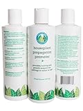 photo: You can buy Houseplant Propagation Promoter & Rooting Hormone, Root Stimulator, Plant Starter Solution for Growing New Plants from Cuttings (Formulated for Fiddle Leaf Fig or Ficus Lyrata) online, best price $22.99 new 2024-2023 bestseller, review