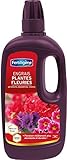 photo: acheter Fertiligène Engrais Plantes Fleuries, 750 ML en ligne, meilleur prix 7,90 € nouveau 2025-2024 best-seller, examen