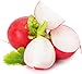 photo Cherry Belle Radish Seeds | Vegetable Seeds for Planting Outdoor Gardens | Heirloom & Non-GMO | Planting Instructions Included 2024-2023