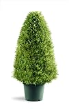 photo: You can buy National Tree Company Artificial Shrub | Includes Pot Base | Upright Juniper - 30 Inch online, best price $147.01 new 2024-2023 bestseller, review