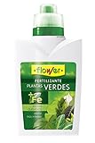 foto: comprar Flower 10533 - Abono líquido Plantas Verdes, 500 ml on-line, mejor precio 4,55 € nuevo 2024-2023 éxito de ventas, revisión