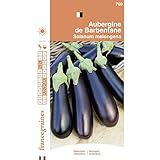 photo: acheter France Graines - Aubergine de Barbentane en ligne, meilleur prix 4,95 € nouveau 2025-2024 best-seller, examen