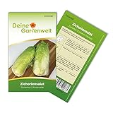 foto: jetzt Zichoriensalat Zuckerhut Samen - Cichorium intybus - Salatsamen - Gemüsesamen - Saatgut für 150 Pflanzen Online, bester Preis 1,99 € (0,01 € / stück) neu 2024-2023 Bestseller, Rezension