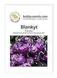 foto: jetzt Kohlsamen Blankyt Kohlrabi Portion Online, bester Preis 1,75 € neu 2025-2024 Bestseller, Rezension