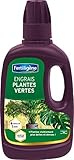 photo: acheter Fertiligène Engrais Plantes Vertes, 400 ML en ligne, meilleur prix 5,90 € (14,75 € / l) nouveau 2025-2024 best-seller, examen