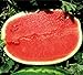 foto Melone - Wassermelone Calsweet - Gewicht: 10-15kg - 10 Samen 2024-2023