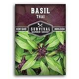 photo: You can buy Survival Garden Seeds - Thai Basil Seed for Planting - Packet with Instructions to Plant and Grow Asian Basil Indoors or Outdoors in Your Home Vegetable Garden - Non-GMO Heirloom Variety - 1 Pack online, best price $4.99 new 2024-2023 bestseller, review
