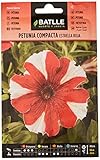 foto: comprar Petunia Compacta Estrella ROJA on-line, mejor precio 1,88 € nuevo 2025-2024 éxito de ventas, revisión