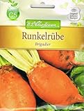 foto: jetzt Futterrübe Brigadier Runkelrübe Rübe Online, bester Preis 3,87 € (258,00 € / kg) neu 2024-2023 Bestseller, Rezension