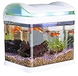 foto: jetzt Sweetypet Aquarium: Transport-Fischbecken mit Filter, LED-Beleuchtung und USB, 3,3 Liter (Mini Aquarium) Online, bester Preis 34,99 € neu 2024-2023 Bestseller, Rezension