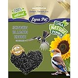 foto: jetzt Lyra Pet® 25 kg Sonnenblumenkerne schwarz HK Österreich Vogelfutter Vögel Wildvögel Wildvogelfutter Winterfutter Körner Online, bester Preis 35,99 € (1,44 € / kg) neu 2024-2023 Bestseller, Rezension