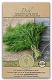 photo: You can buy Gaea's Blessing Seeds - Dill Seeds (2000 Seeds) Mammoth Long Island - Non-GMO Seeds with Easy to Follow Instructions - Heirloom 88% Germination Rate Net Wt. 3.0g online, best price $4.79 ($0.00 / Count) new 2024-2023 bestseller, review