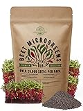 photo: You can buy Beet Sprouting & Microgreens Seeds - Non-GMO, Heirloom Sprout Seeds Kit in Bulk 1lb Resealable Bag for Planting & Growing Microgreens in Soil, Coconut Coir, Garden, Aerogarden & Hydroponic System. online, best price $23.99 new 2024-2023 bestseller, review