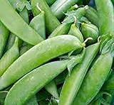 photo: You can buy Pea Seed, Sugar Snap Pea, Heirloom, Non GMO, 20 Seeds, Perfect Peas, Country Creek Acres online, best price $1.99 new 2024-2023 bestseller, review