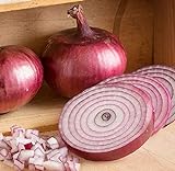 photo: You can buy David's Garden Seeds Onion Intermediate-Day Monastrell 3943 (Red) 100 Non-GMO, Hybrid Seeds online, best price $4.45 new 2024-2023 bestseller, review