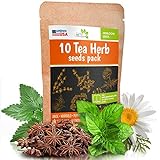 photo: You can buy 10 Herbal and Medical Tea Seeds Pack - Heirloom and Non GMO, Grown in USA - Indoor or Outdoor Garden - Chamomile, Lavender, Mint, Lemon Balm, Catnip, Peppermint, Anise, Coneflower Echinacea & More online, best price $10.91 ($1.09 / Count) new 2024-2023 bestseller, review