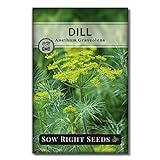 photo: You can buy Sow Right Seeds - Dill Seed for Planting - All Non-GMO Heirloom Dill Seeds with Full Instructions for Easy Planting and Growing Your Kitchen Herb Garden, Indoor or Outdoor; Great Gift online, best price $5.29 new 2024-2023 bestseller, review