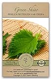 photo: You can buy Gaea's Blessing Seeds - Green Shiso Seeds (Perilla), Heirloom Non-GMO Seeds with Easy to Follow Planting Instructions, Kaori Ao Shiso, Open-Pollinated, 94% Germination Rate online, best price $5.99 new 2024-2023 bestseller, review