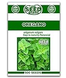 photo: You can buy Oregano Seeds - 500 Seeds Non-GMO online, best price $1.59 ($0.00 / Count) new 2024-2023 bestseller, review
