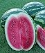 foto Melone - Wassermelone Crimson Sweet - 10 Samen 2024-2023