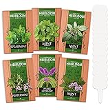 photo: You can buy 6 Mint Seeds Garden Pack - Mountain Mint, Spearmint, Peppermint, Wild Mint, Anise Hyssop, and Common Mint | Quality Herb Seed Variety for Planting Indoor or Outdoor | Make Your Own Herbal (6 Mint) online, best price $13.99 ($2.33 / Count) new 2024-2023 bestseller, review
