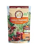 photo: acheter Or brun, Engrais fraisiers, 1,5kg en ligne, meilleur prix 9,95 € nouveau 2024-2023 best-seller, examen