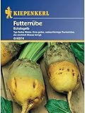 foto: jetzt Kiepenkerl Futterrüben Eckdogelb Online, bester Preis 4,78 € neu 2024-2023 Bestseller, Rezension